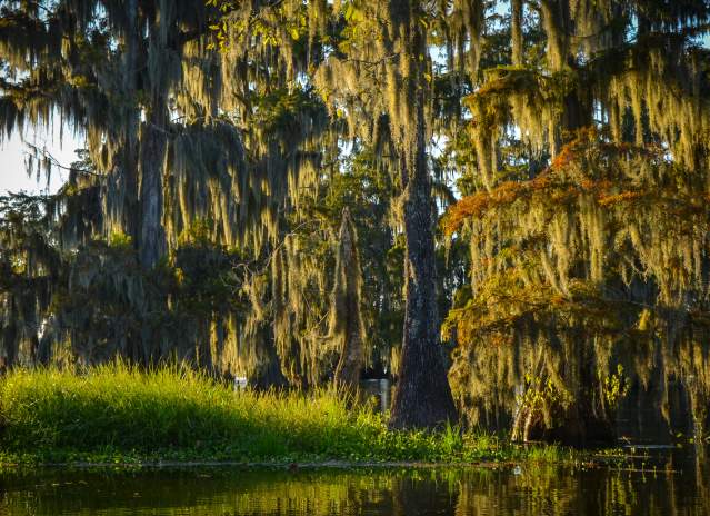 Top or Best Custom Graphics for Videos Agencies and Companies in Lafayette, Louisiana