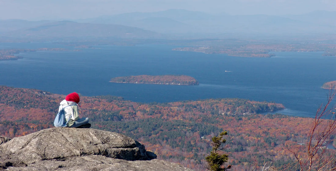 Top or Best X (Twitter) Management Agencies and Companies in Laconia, New Hampshire