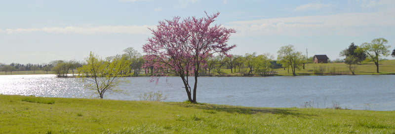 Top or Best Website Design Agencies and Companies in Derby, Kansas