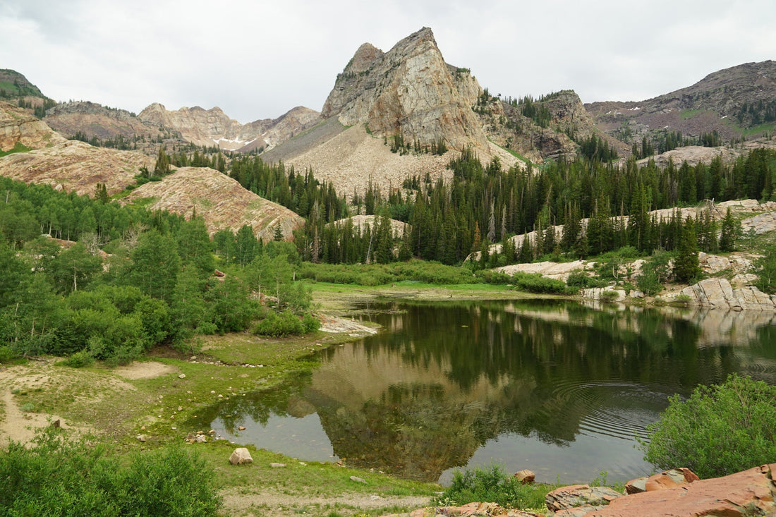Top and Best Virtual Background Design Agencies and Companies in Salt Lake City, Utah