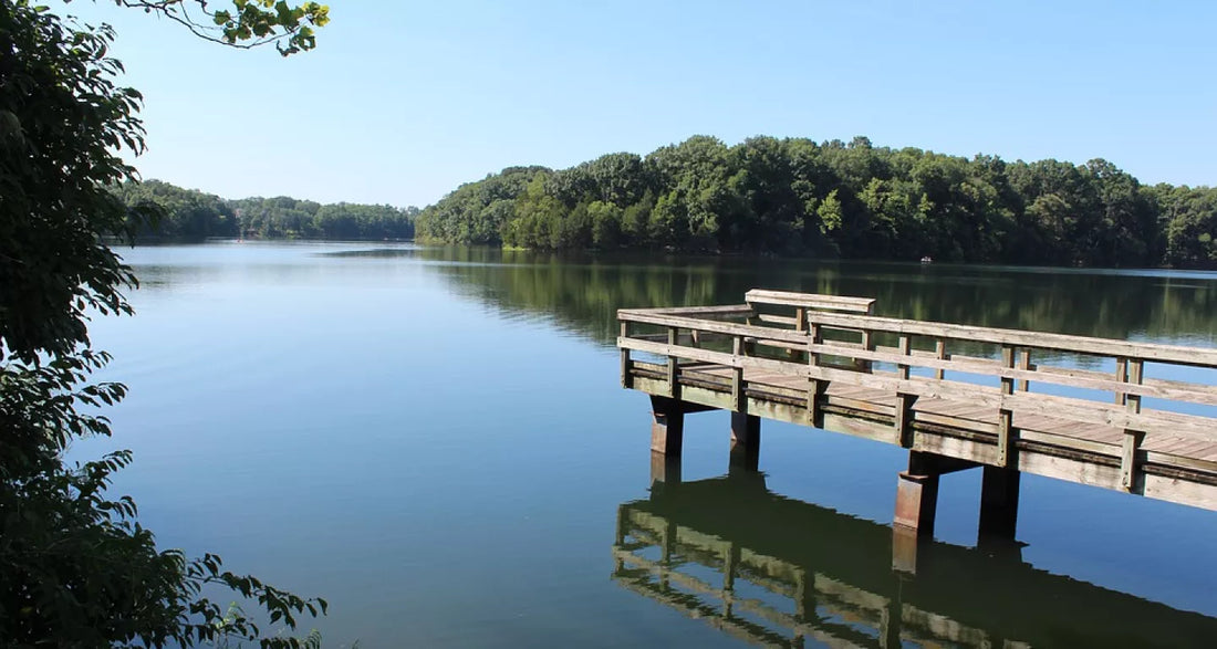 Best or Top Brand Identity Packages Agencies and Companies in Lakewood, New Jersey