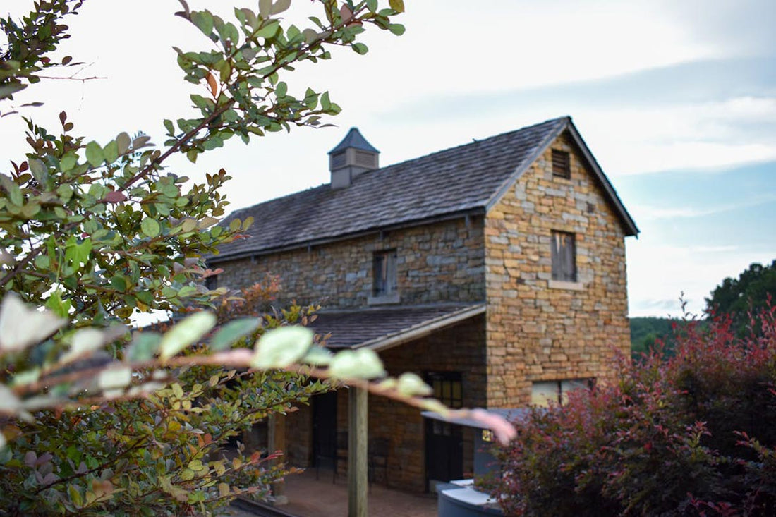 Top or Best Virtual Background Design Agencies and Companies in Hoover, Alabama