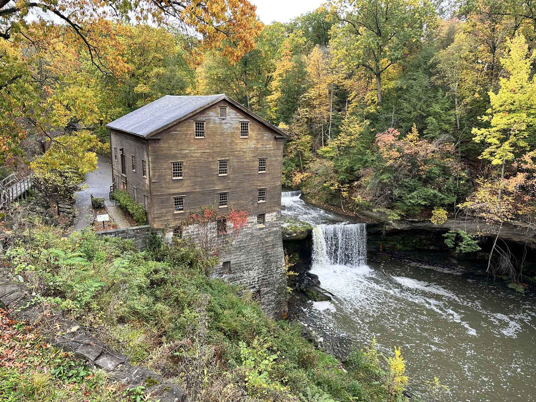 Top or Best Portrait & Caricature Agencies and Companies in Youngstown, Ohio