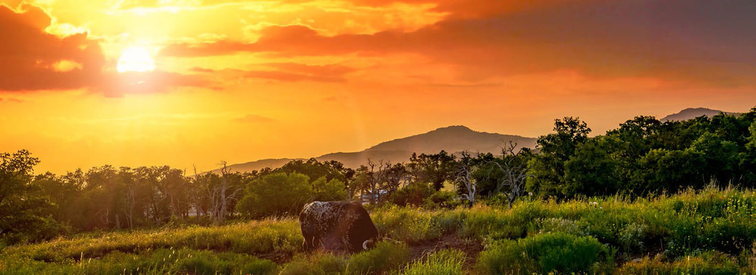 Top or Best AR Filters & Lenses Agencies and Companies in Lawton, Oklahoma