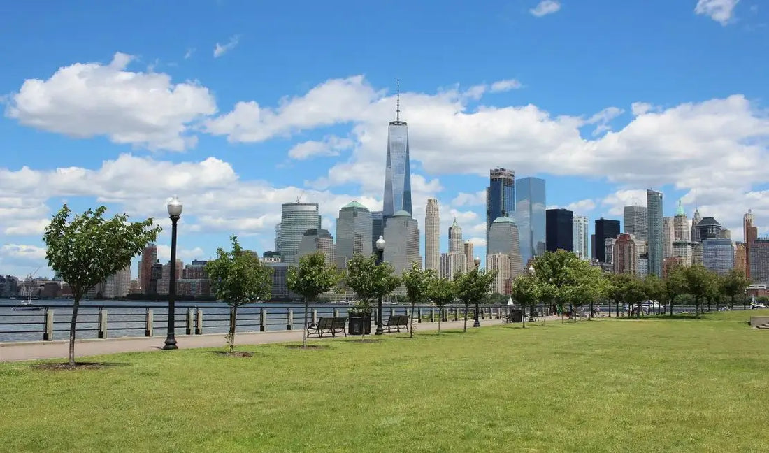 Best or Top Postcard Design Agencies and Companies in Jersey City, New Jersey