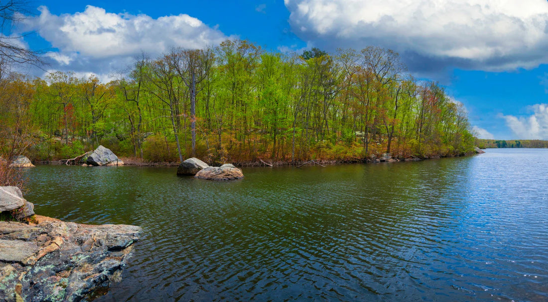 Top or Best Facebook Management Agencies and Companies in Lincoln, Rhode Island