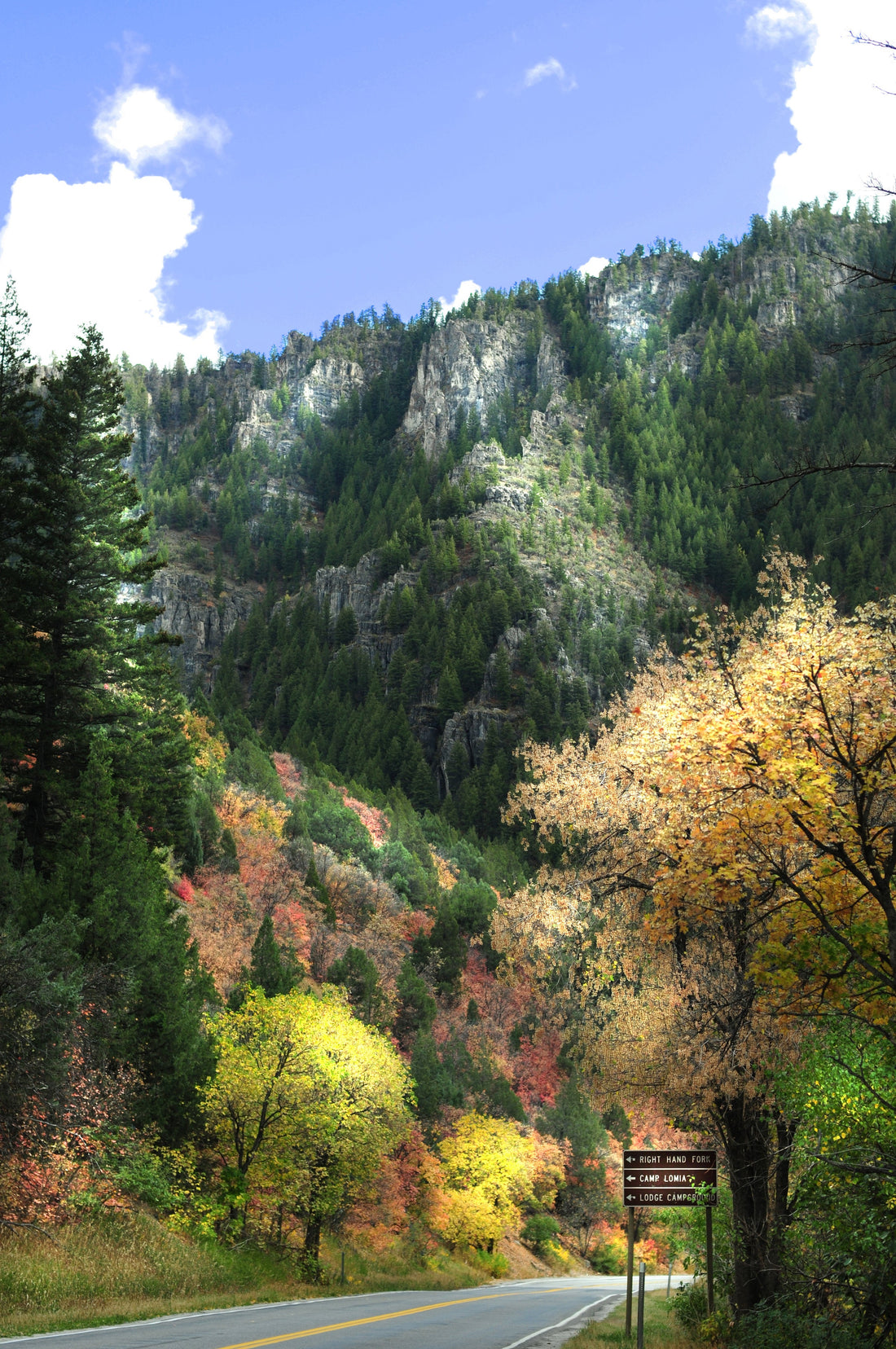 Top or Best Virtual Background Design Agencies and Companies in Logan, Utah