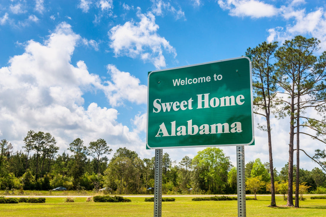 Top or Best Cartoons & Comics Agencies and Companies in Hoover, Alabama