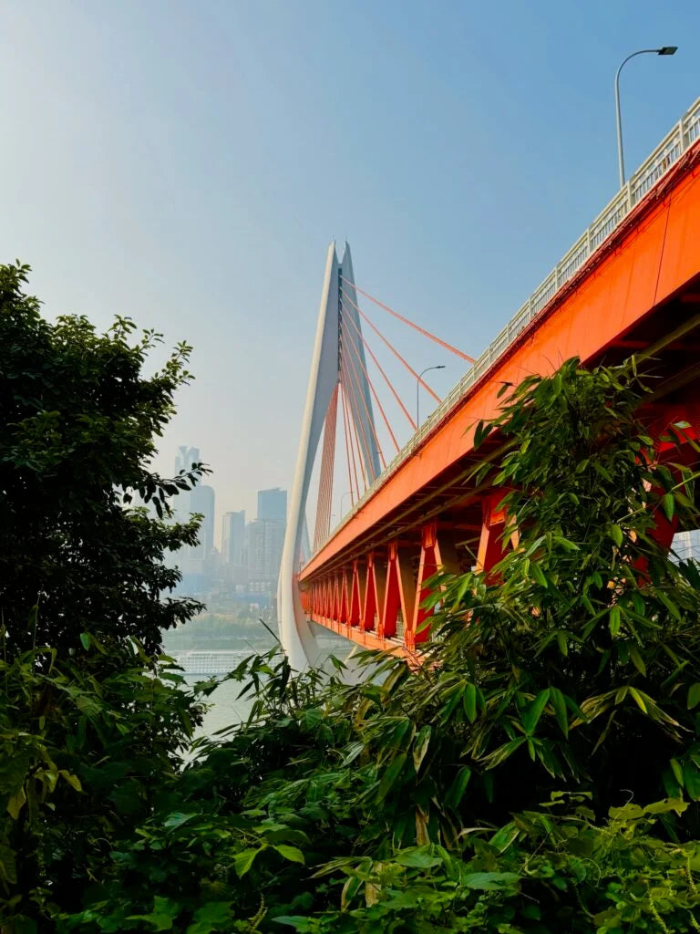 Top or Best Infographic Design Agencies and Companies in Chongqing, China