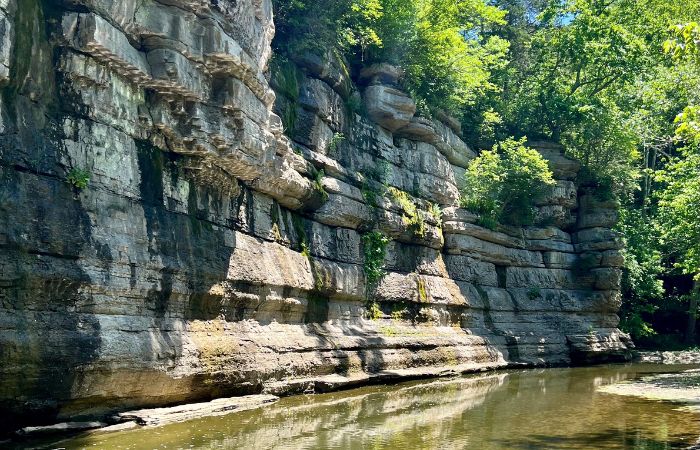 Top or Best Presentation Design Agencies and Companies in Nicholasville, Kentucky