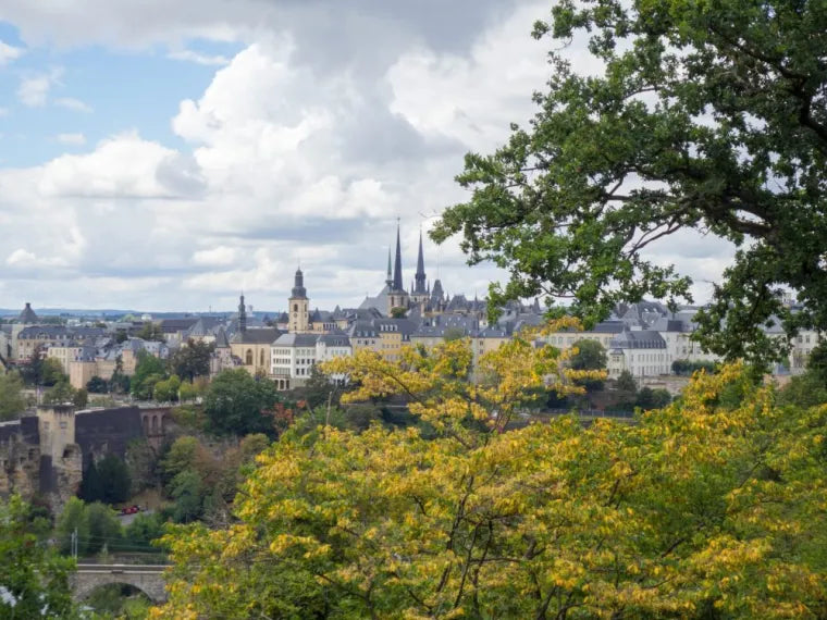 Top 5 Infographic Design Agencies in Luxembourg