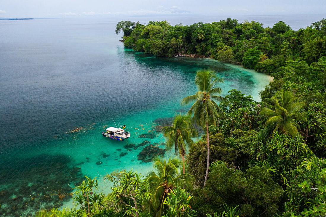 Top 5 Social Media Design Agencies in Papua New Guinea