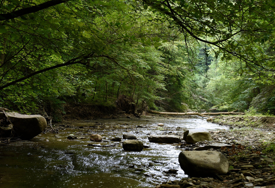 Top or Best TikTok Management Agencies and Companies in Hammond, Indiana