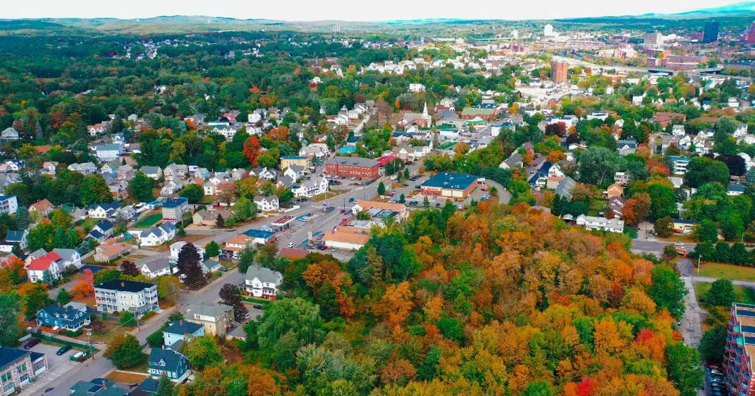 Top or Best Mural Design Agencies and Companies in Bedford, New Hampshire