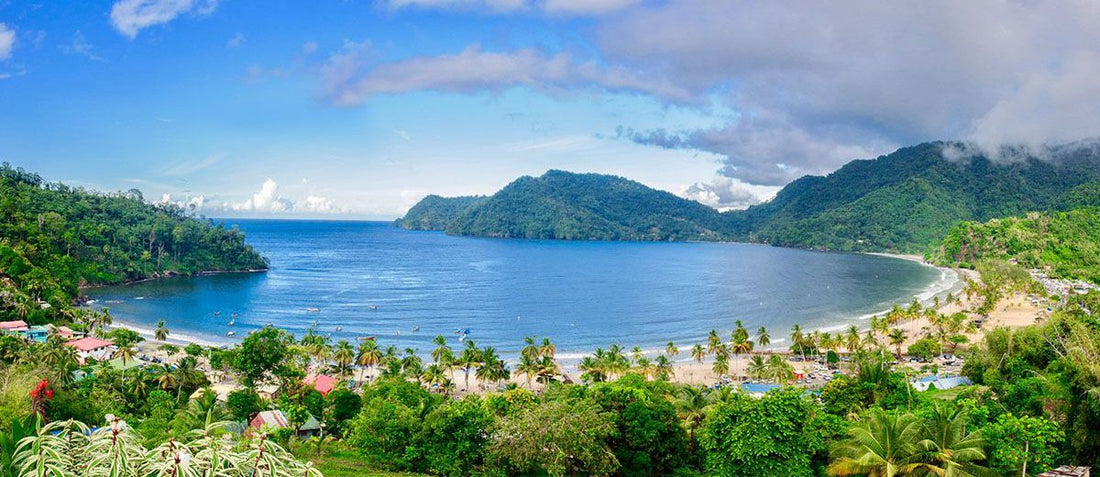 Best LinkedIn Management Companies in Trinidad and Tobago