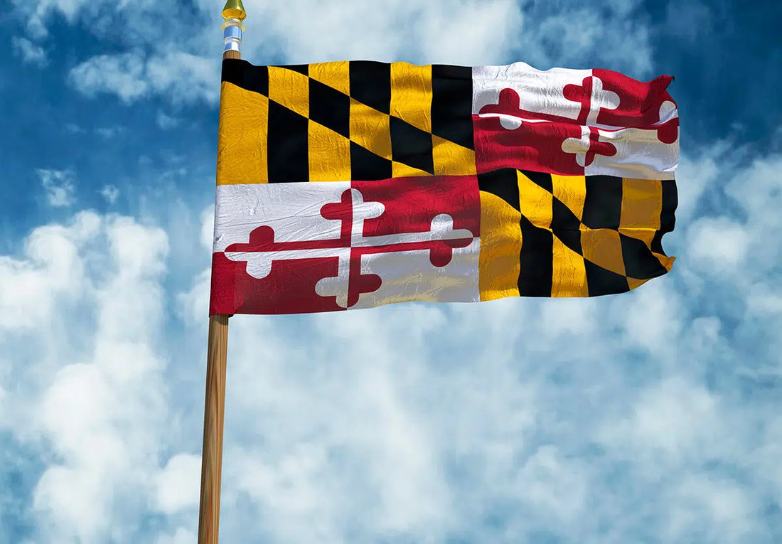 Best Video Editing Agencies in Maryland