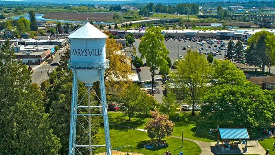 Top or Best Mural Design Agencies and Companies in Marysville, Washington