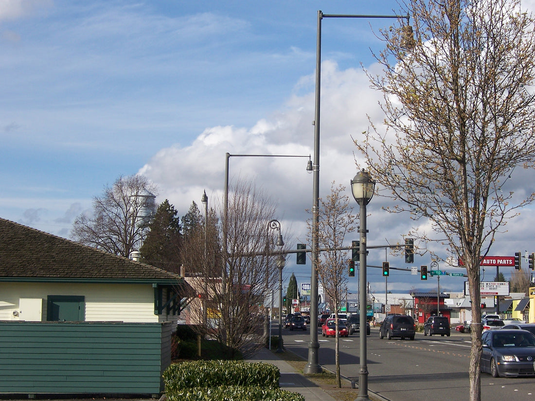 Top or Best NFT Art Agencies and Companies in Marysville, Washington