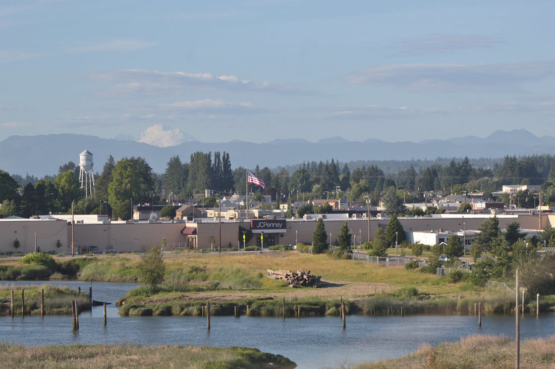 Top or Best Copywriting Agencies and Companies in Marysville, Washington