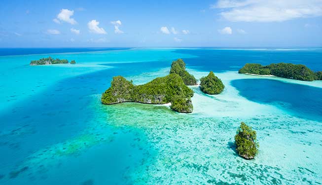 Top or Best Athlete Management Agencies and Companies in Micronesia