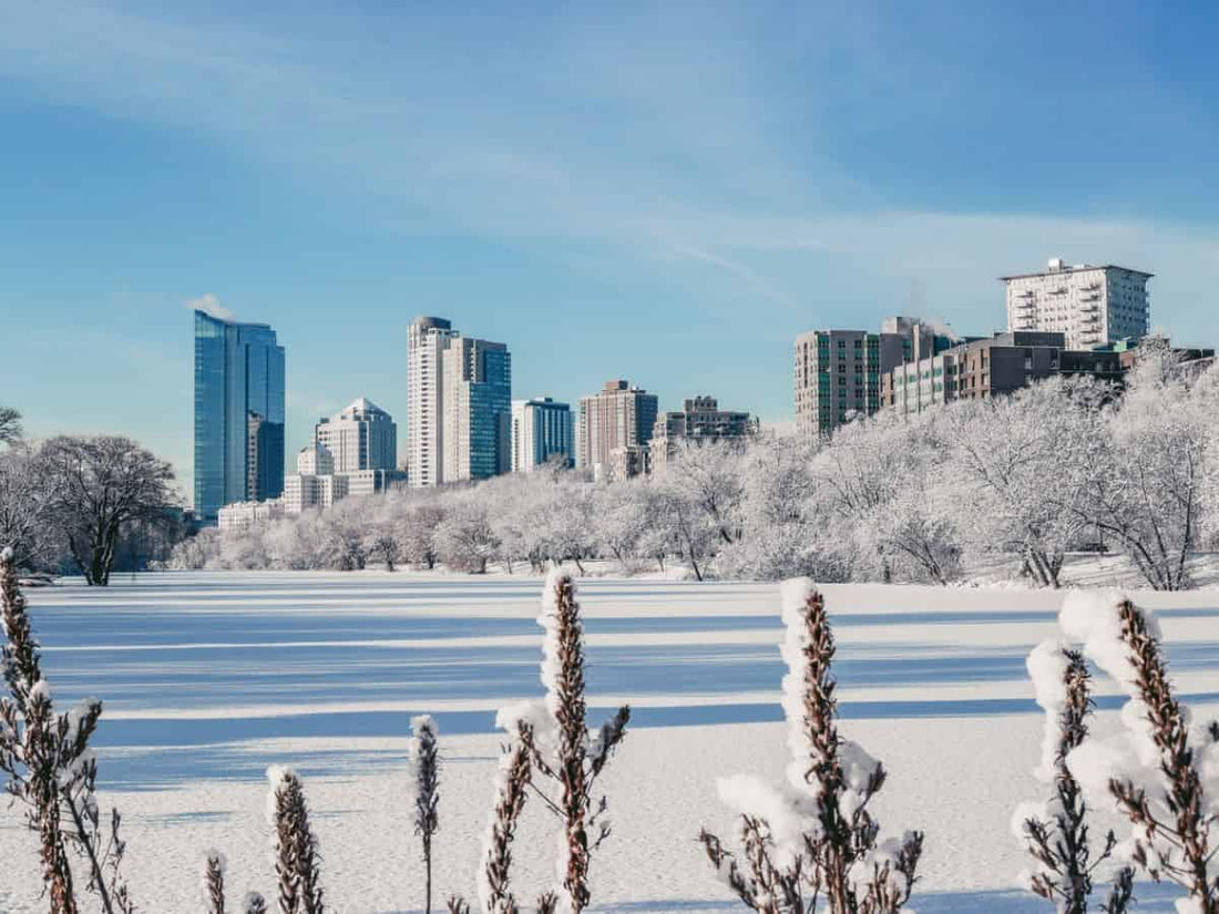 Top and Best Custom Graphics for Videos Agencies and Companies in Milwaukee, Wisconsin