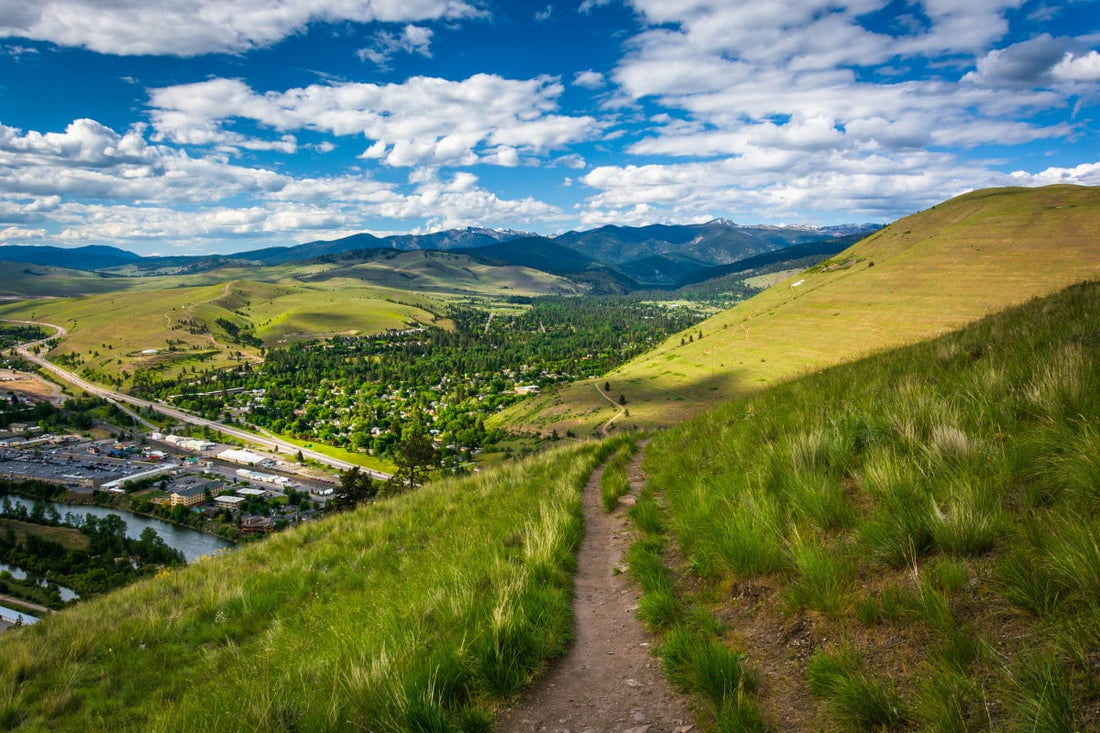 Top or Best Presentation Design Agencies and Companies in Missoula, Montana