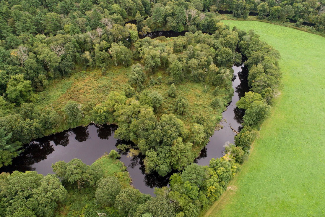 Top Flyer Design Agencies and Companies in Taunton, Massachusetts