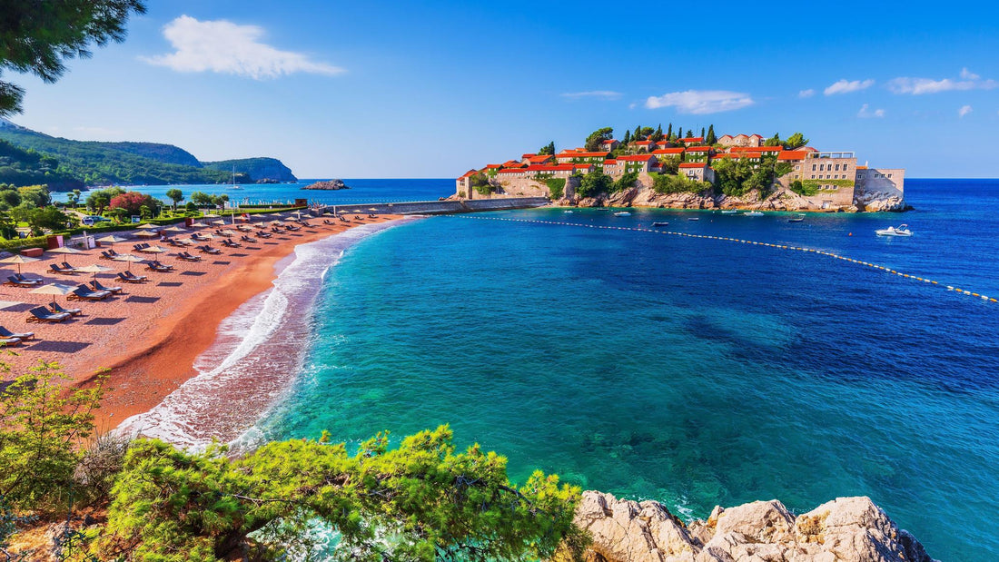 Top or Best Athlete Management Agencies and Companies in Montenegro