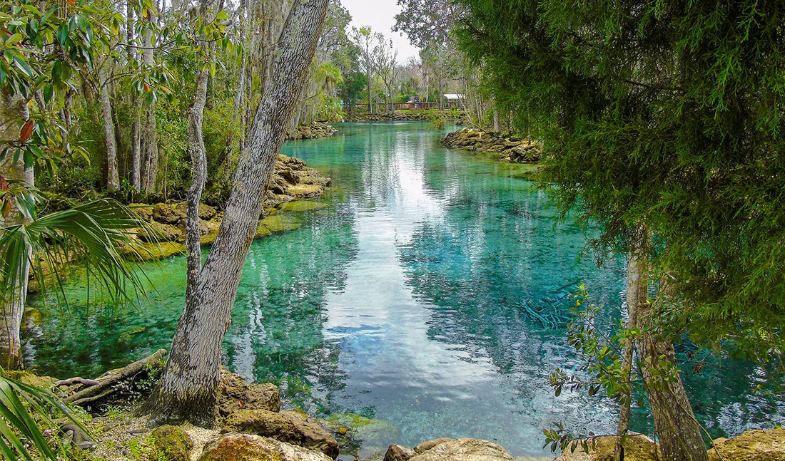 Top or Best Custom Graphics for Videos Agencies and Companies in Fort Lauderdale, Florida