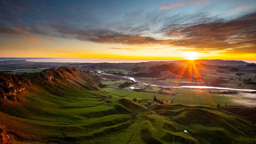 Top 5 Mural Design Agencies in New Zealand