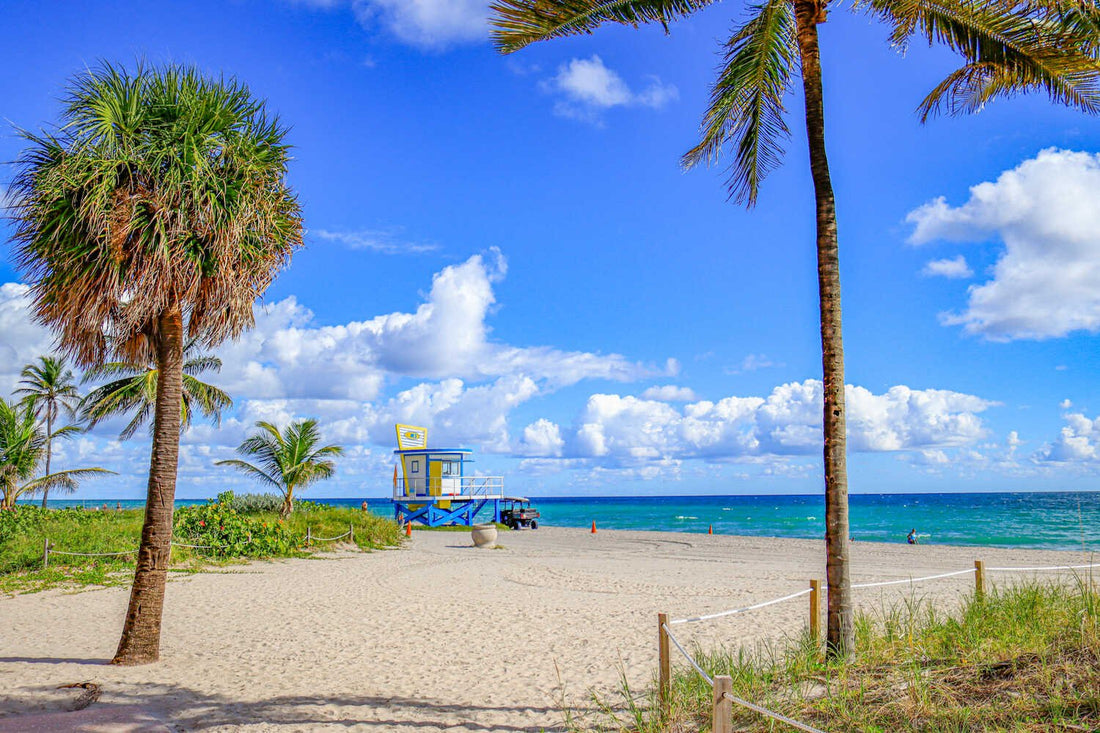 Top or Best Animation and Motion Graphics Agencies and Companies in Daytona Beach, Florida