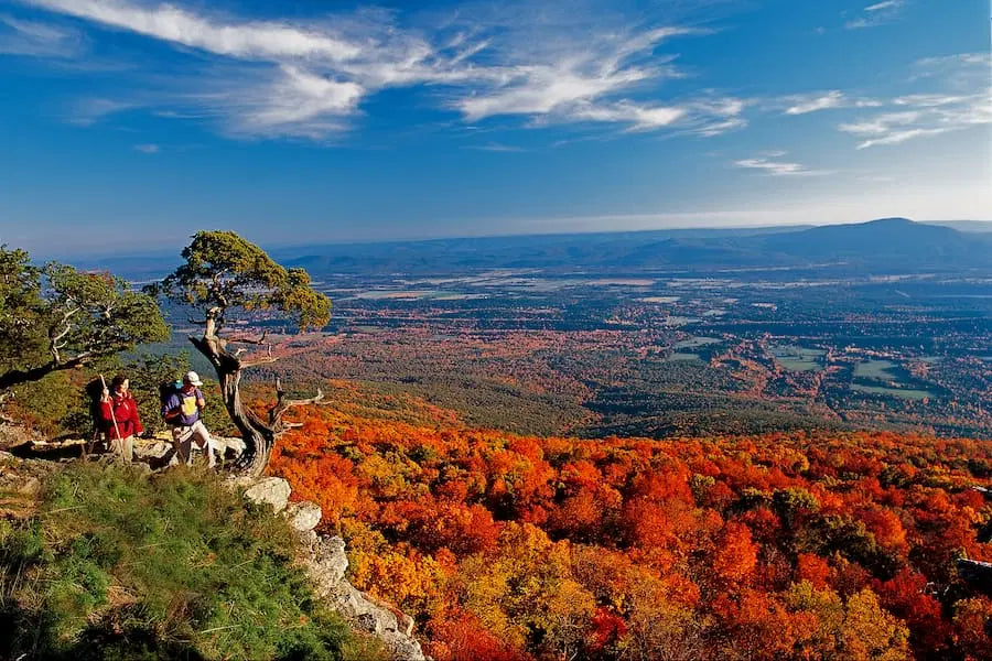 Top or Best Custom Graphics for Videos Agencies and Companies in Texarkana, Arkansas