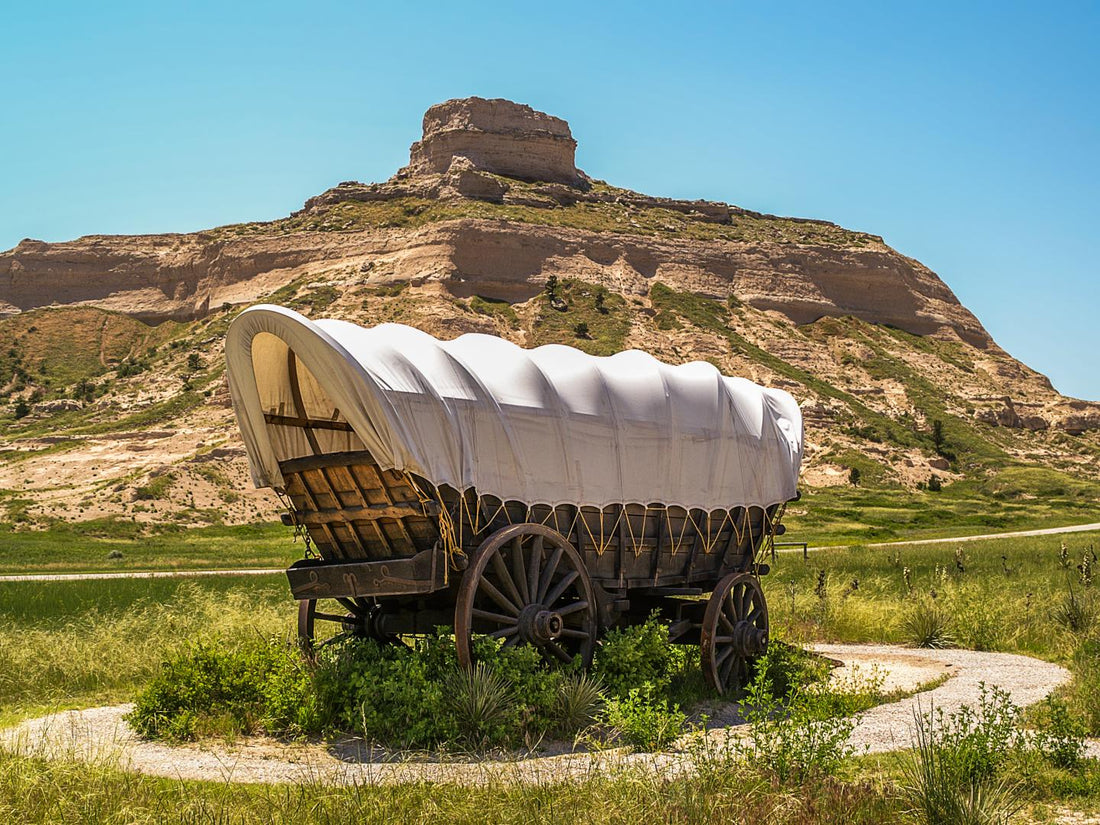 Top or Best TikTok Management Agencies and Companies in Lexington, Nebraska