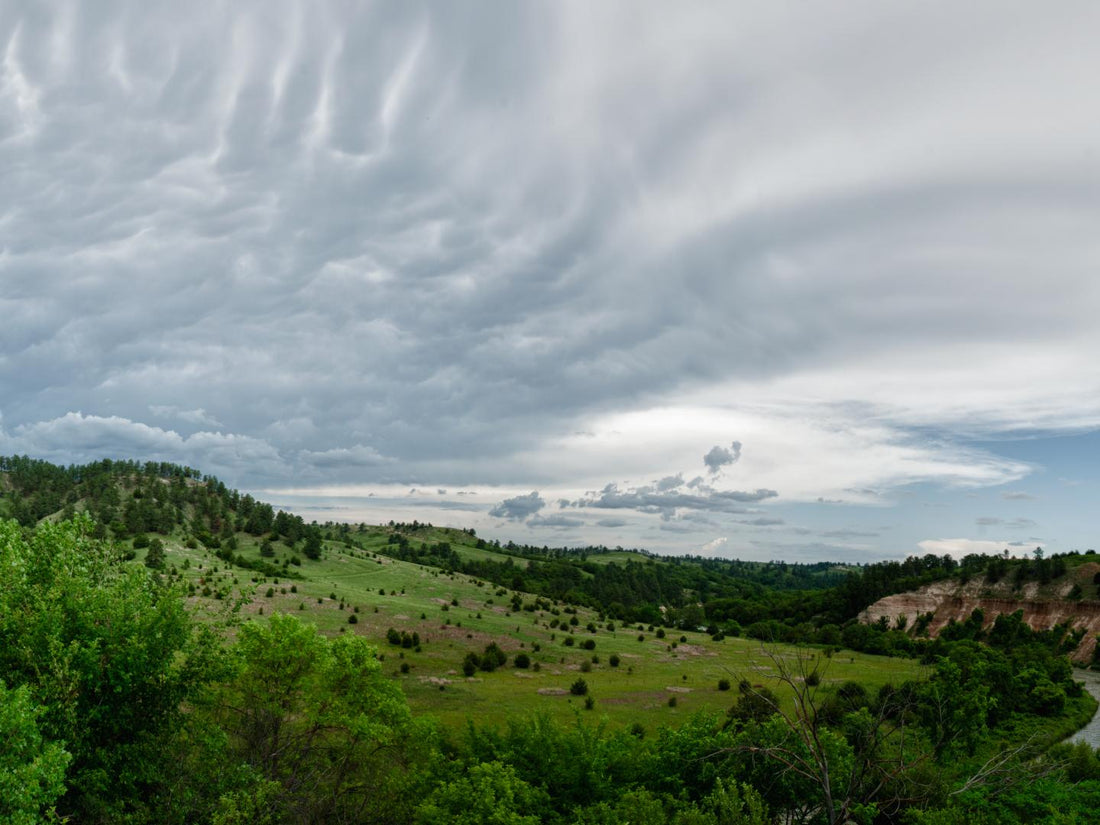 Top or Best Animation & Motion Graphics Agencies and Companies in Lexington, Nebraska