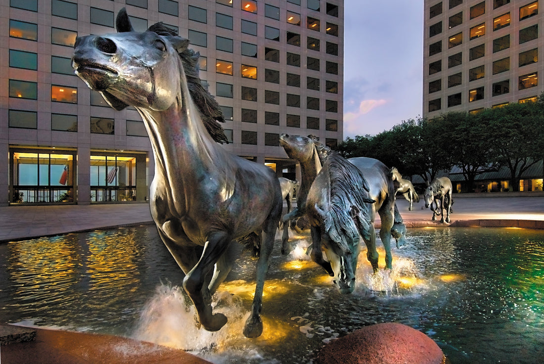 Top or Best Mural Design Agencies and Companies in Irving, Texas