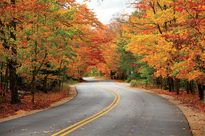 Top or Best App UI/UX Design Agencies in Naperville, Illinois