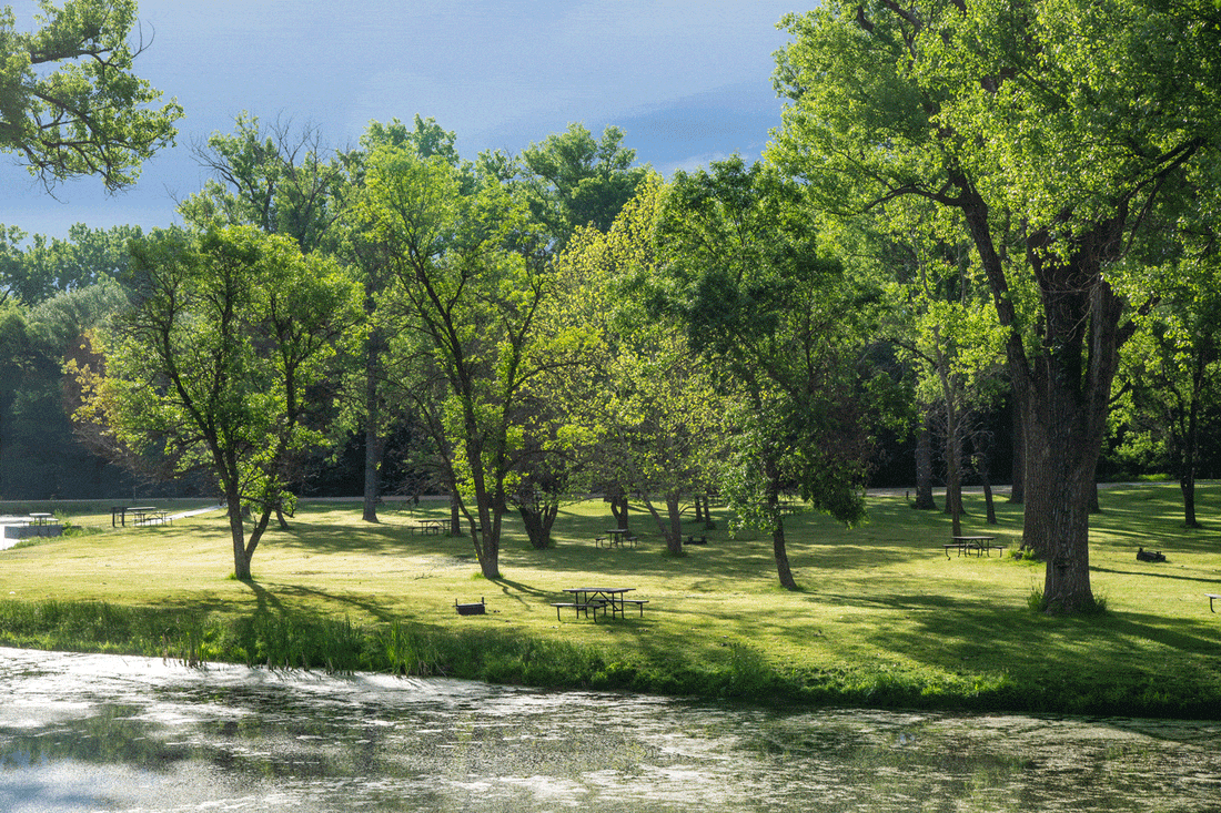 Top or Best Graphic Design Subscription Agencies and Companies in York, Nebraska