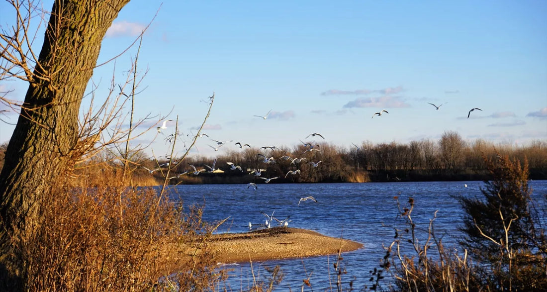 Best or Top Portraits and Caricatures Agencies and Companies in Hamilton Township, New Jersey