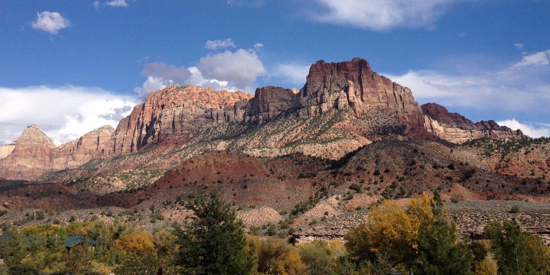 Best or Top Instagram Management Agencies and Companies in Las Vegas, Nevada