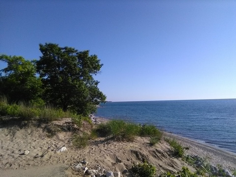 Top or Best Poster Design Agencies and Companies in Waukegan, Illinois