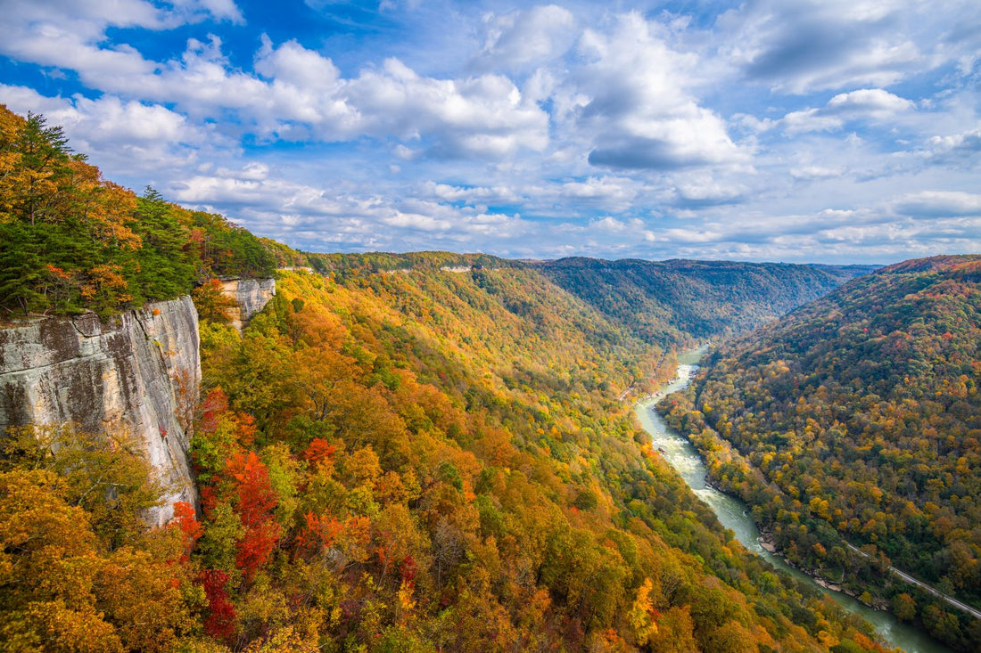 Best Mural Design Agencies in Virginia