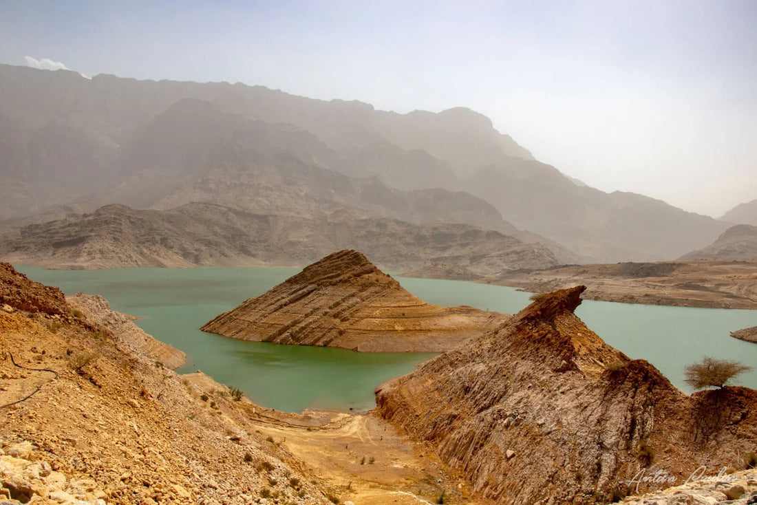 Top NFT Art Agencies in Oman