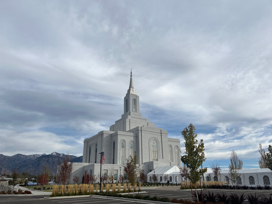 Top or Best Mural Design Agencies and Companies in Orem, Utah