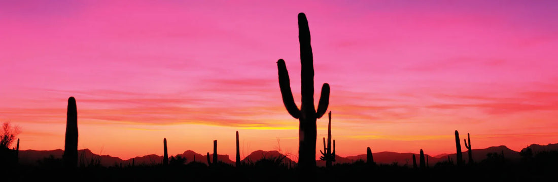 Top or Best Web & Mobile Design Agencies and Companies in Queen Creek, Arizona