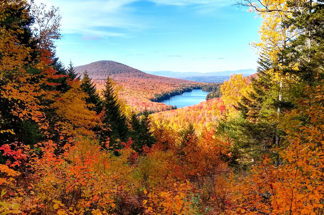 Top or Best X (Twitter) Management Agencies and Companies in Burlington, Vermont
