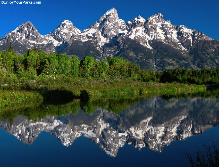 Top or Best AR Filters and Lenses Agencies and Companies in Dickinson, North Dakota