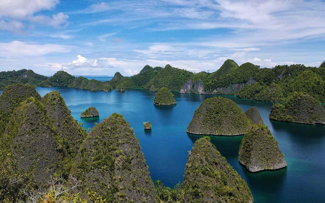 Top 5 Brand Identity Package Design Agencies in Papua New Guinea
