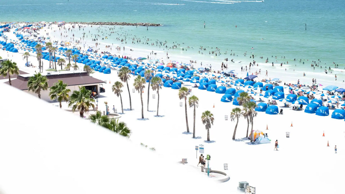 Top or Best Direct Mail Design Agencies and Companies in Clearwater, Florida