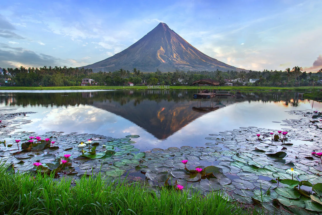 Top Drawing and Illustration Agencies in Philippines