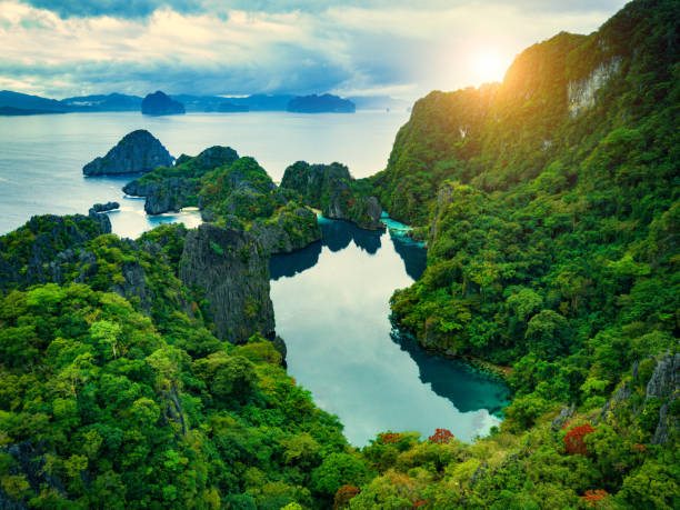 Top Animation and Motion Graphics Agencies in Philippines